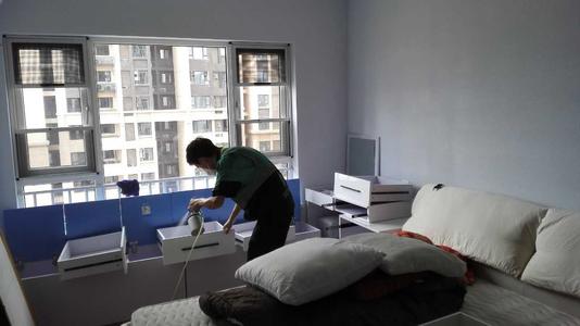 甲醛治理有用么