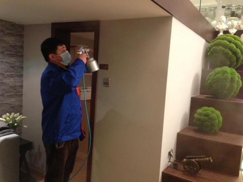 �Ͳ���������