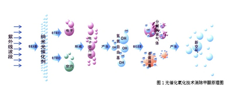 �ⴥý����ȩ