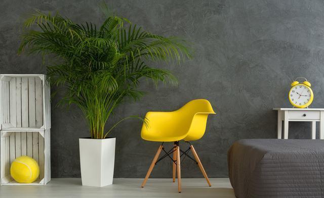 �������ȩ��˾