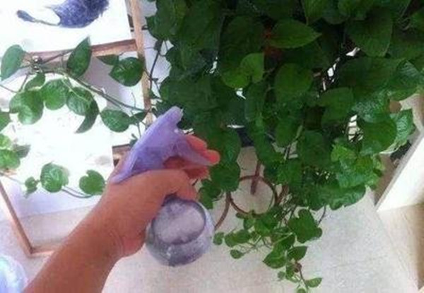 װ޳ȩȩǣܣˮ̽
