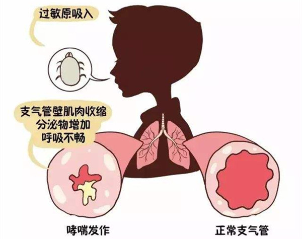 ڿ棬̽