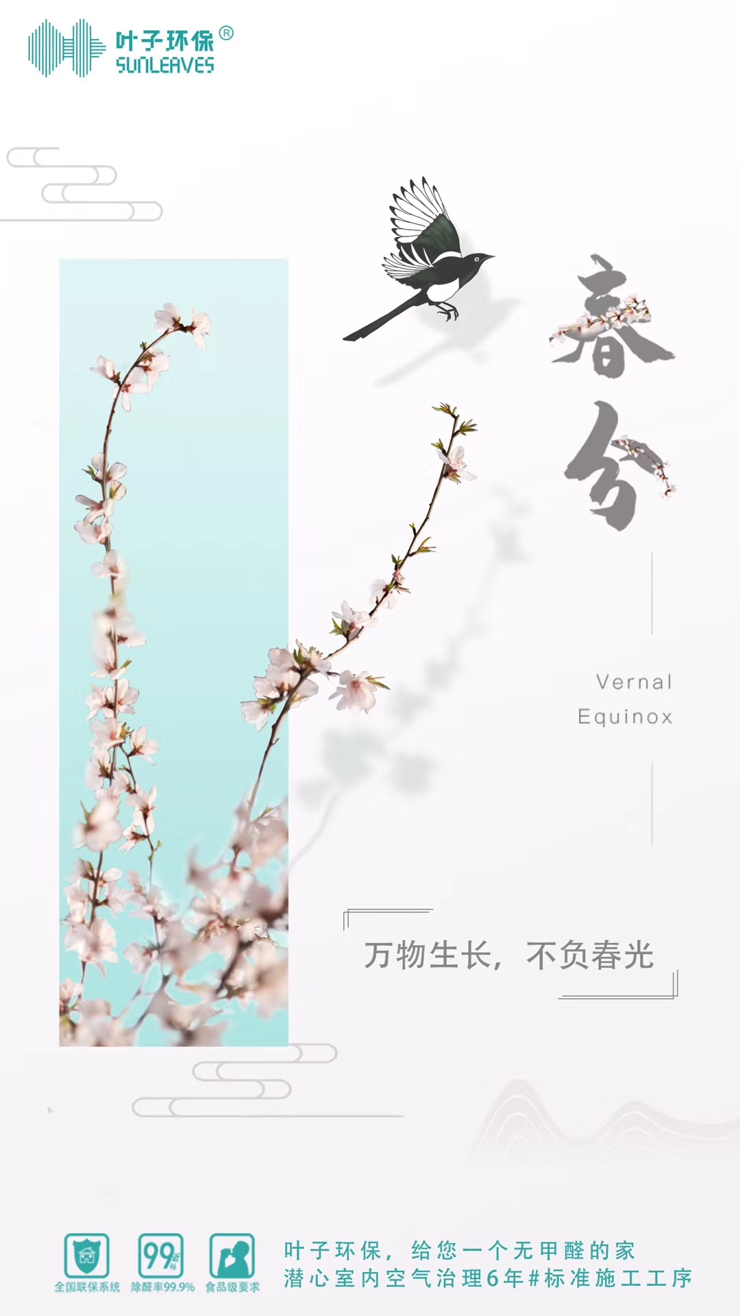̽